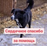 -WQkXPQHiUs.jpg